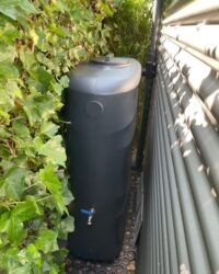 zwarte smalle regenton tussen schuur en heg