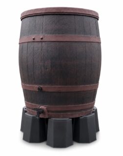 Regenton Oak 235 Bronze Met Verhoging New